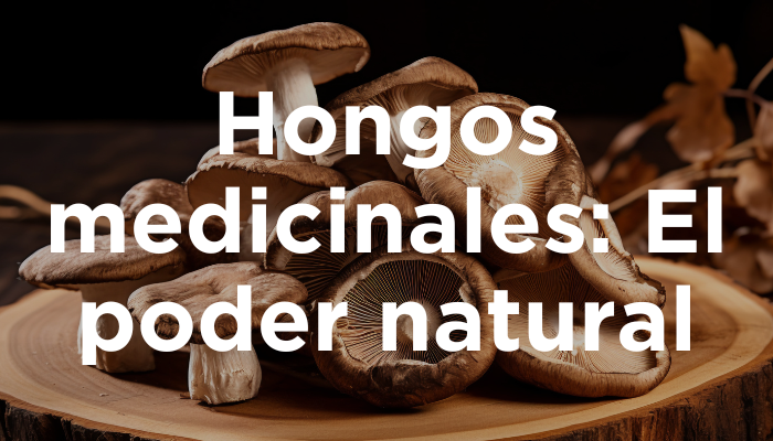 Hongos Medicinales: El Poder Natural