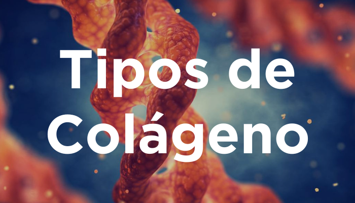 Tipos De Colágeno
