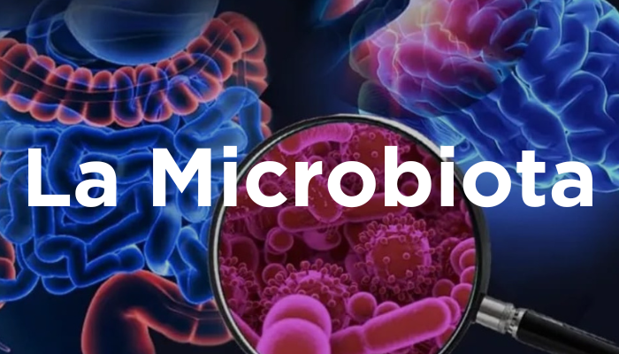 La Microbiota