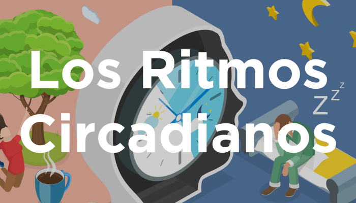 Los Ritmos Circadianos