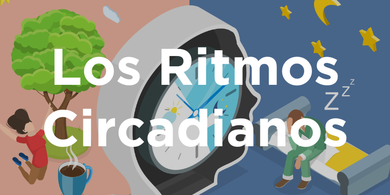 Los Ritmos Circadianos