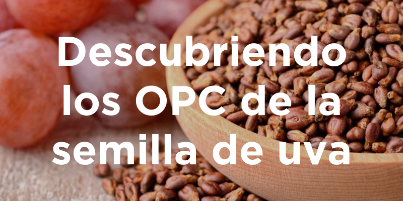 Descubriendo los OPC de la semilla de uva