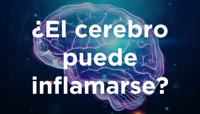 ¿El Cerebro Puede Inflamarse?