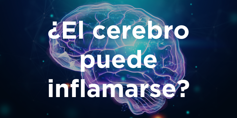 ¿El cerebro puede inflamarse?