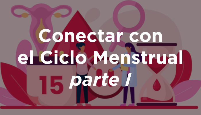 Conectar Con El Ciclo Menstrual, Parte I