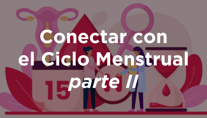 Conectar Con El Ciclo Menstrual Parte II