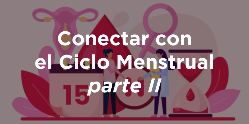 Conectar con el Ciclo Menstrual parte II