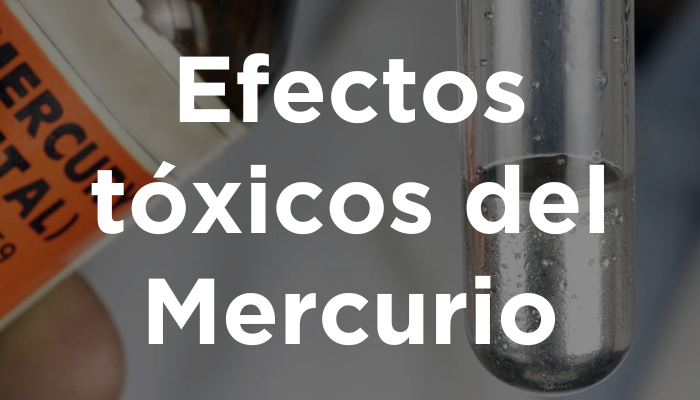 Efectos Tóxicos Del Mercurio