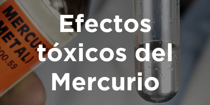 Efectos tóxicos del Mercurio
