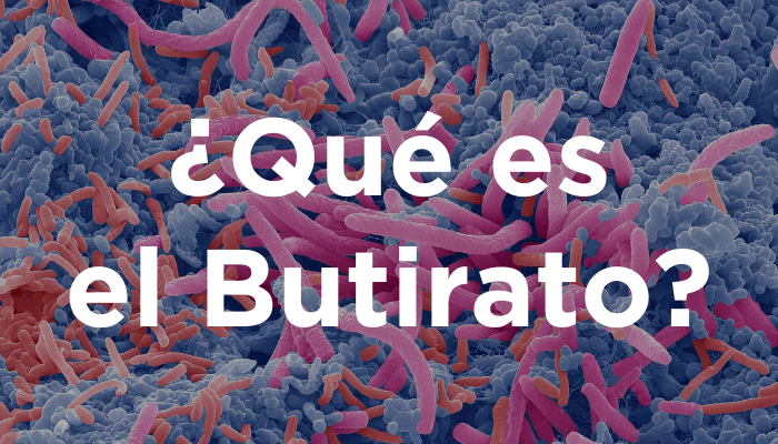 ¿Qué Es El Butirato?