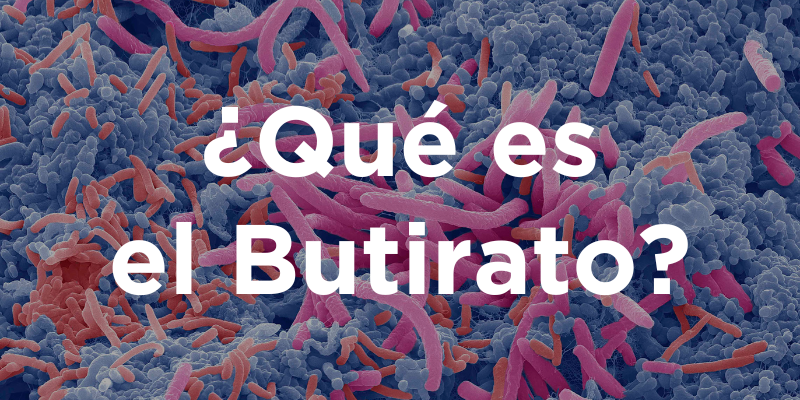 ¿Qué es el Butirato?