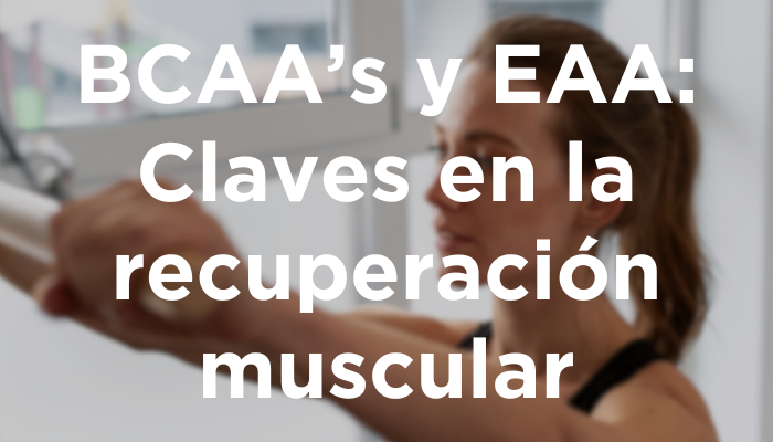 BCAA’s Y EAA: Claves En La Recuperación Muscular