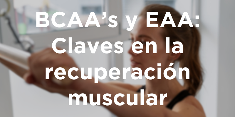 BCAA’s y EAA: Claves en la recuperación muscular