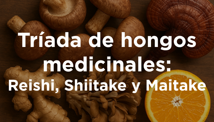 Tríada De Hongos Medicinales: Reishi, Shiitake Y Maitake