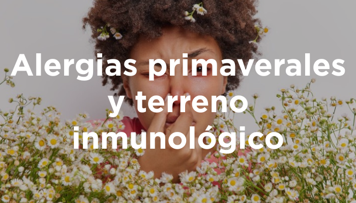Alergias Primaverales Y Terreno Inmunológico