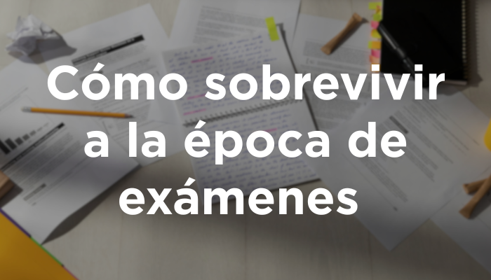 Cómo Sobrevivir A La época De Examenes