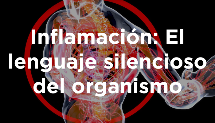 Inflamación: El Lenguaje Silencioso Del Organismo