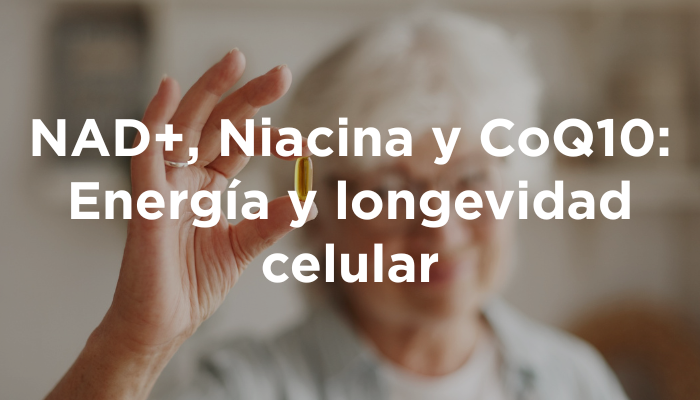NAD+, Niacina Y CoQ10: Energía Y Longevidad Celular