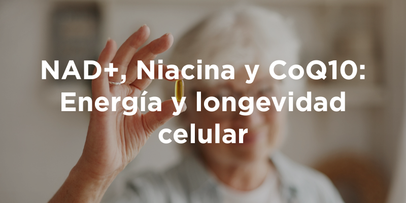 NAD+, Niacina y CoQ10: Energía y longevidad celular
