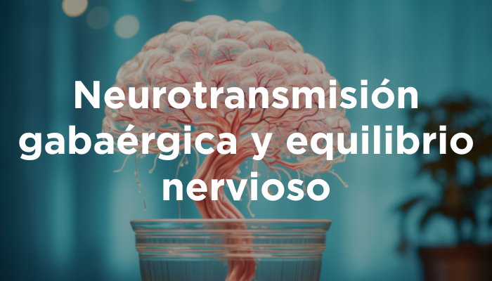 Neurotransmisión Gabaérgica Y Equilibrio Nervioso