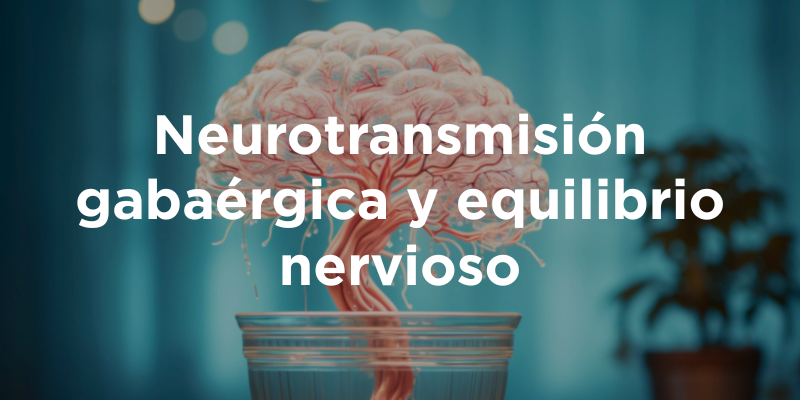 Neurotransmisión gabaérgica y equilibrio nervioso