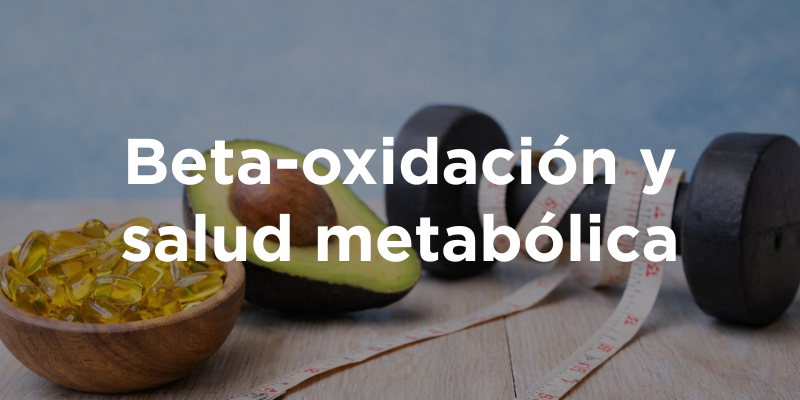 Beta-oxidación y salud metabólica