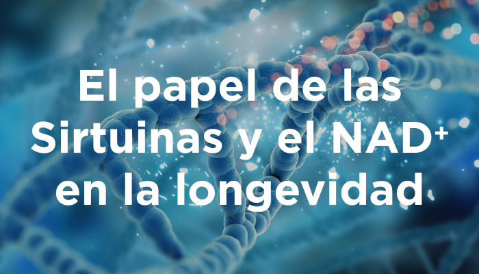 El Papel De Las Sirtuinas Y El NAD⁺ En La Longevidad