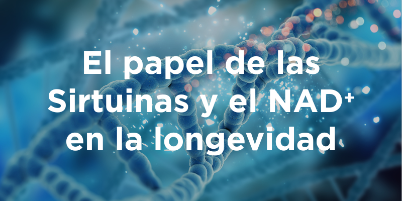 El papel de las Sirtuinas y el NAD⁺ en la longevidad