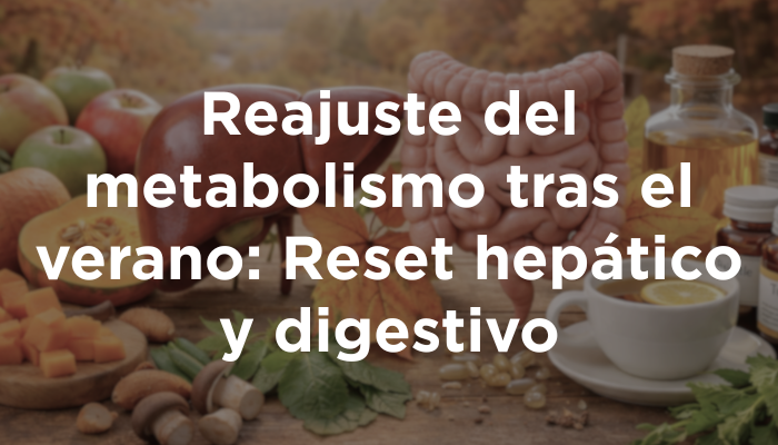 Reajuste Del Metabolismo Tras El Verano: Reset Hepático Y Digestivo